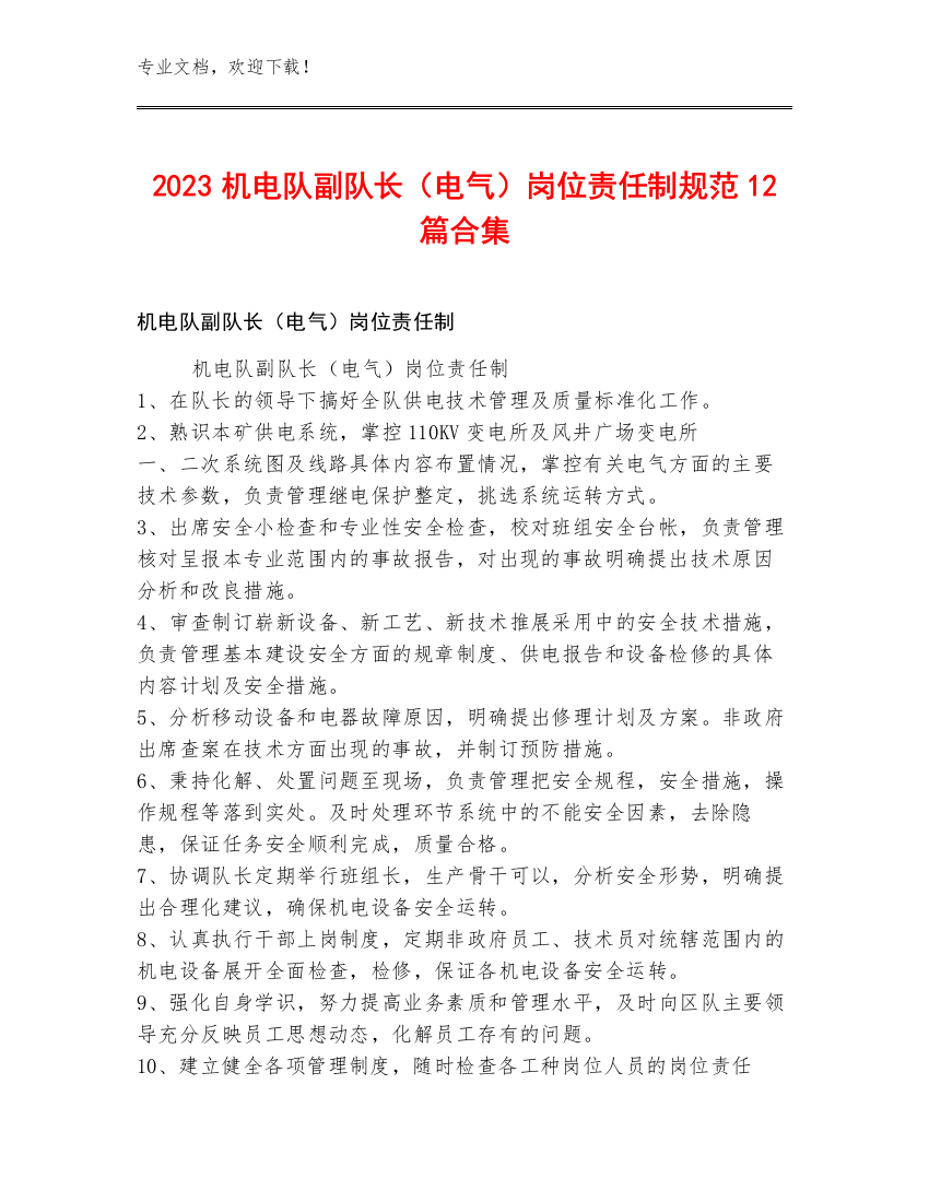 2023机电队副队长（电气）岗位责任制规范12篇合集