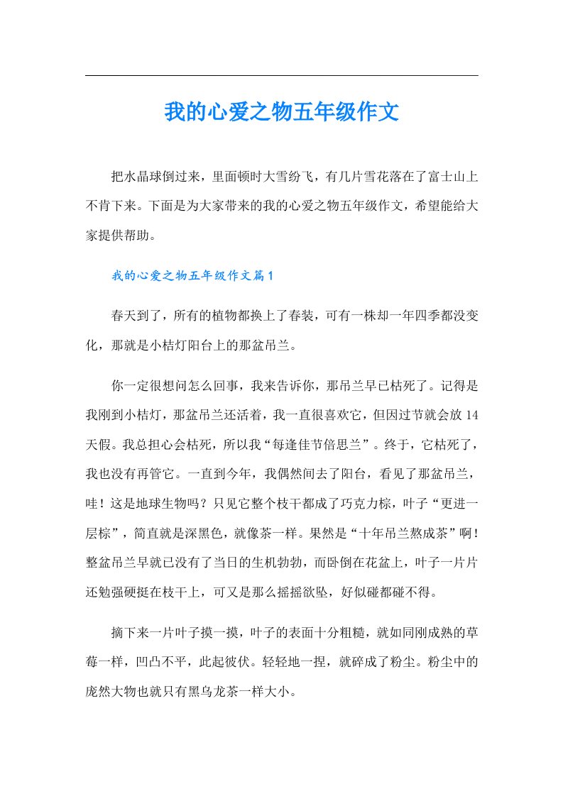 我的心爱之物五年级作文