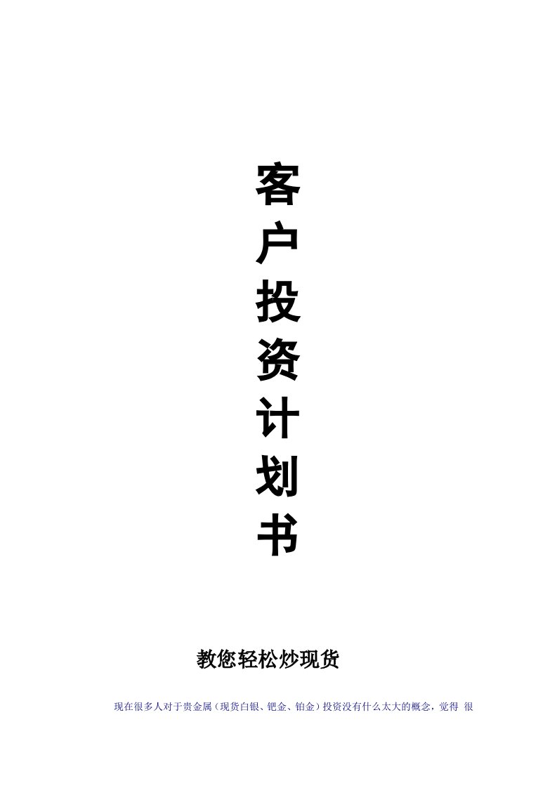 《袁丹投资计划书》word版