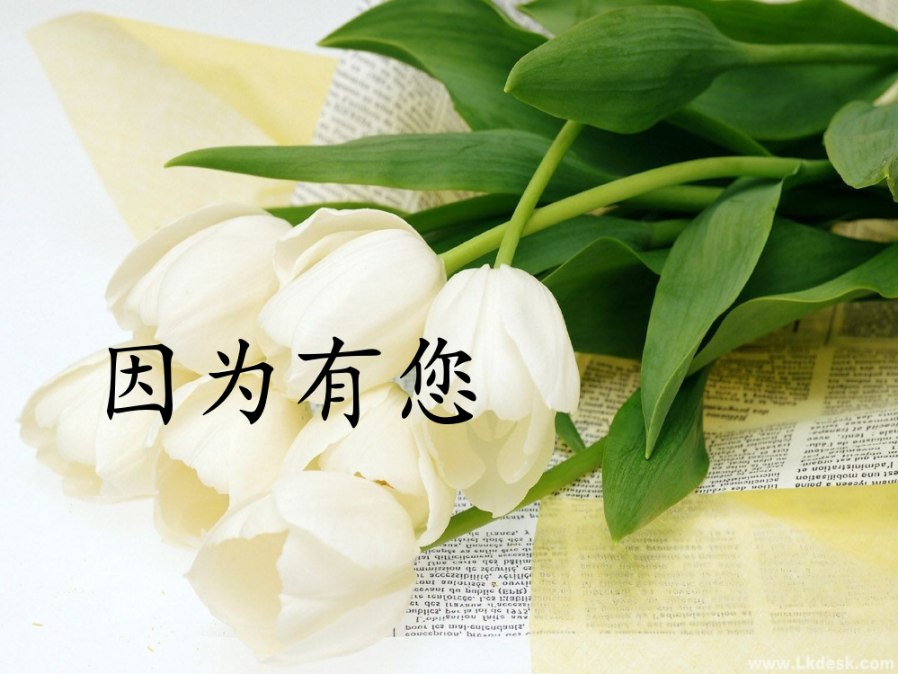 教师节主题班会幻灯片绝对绝对