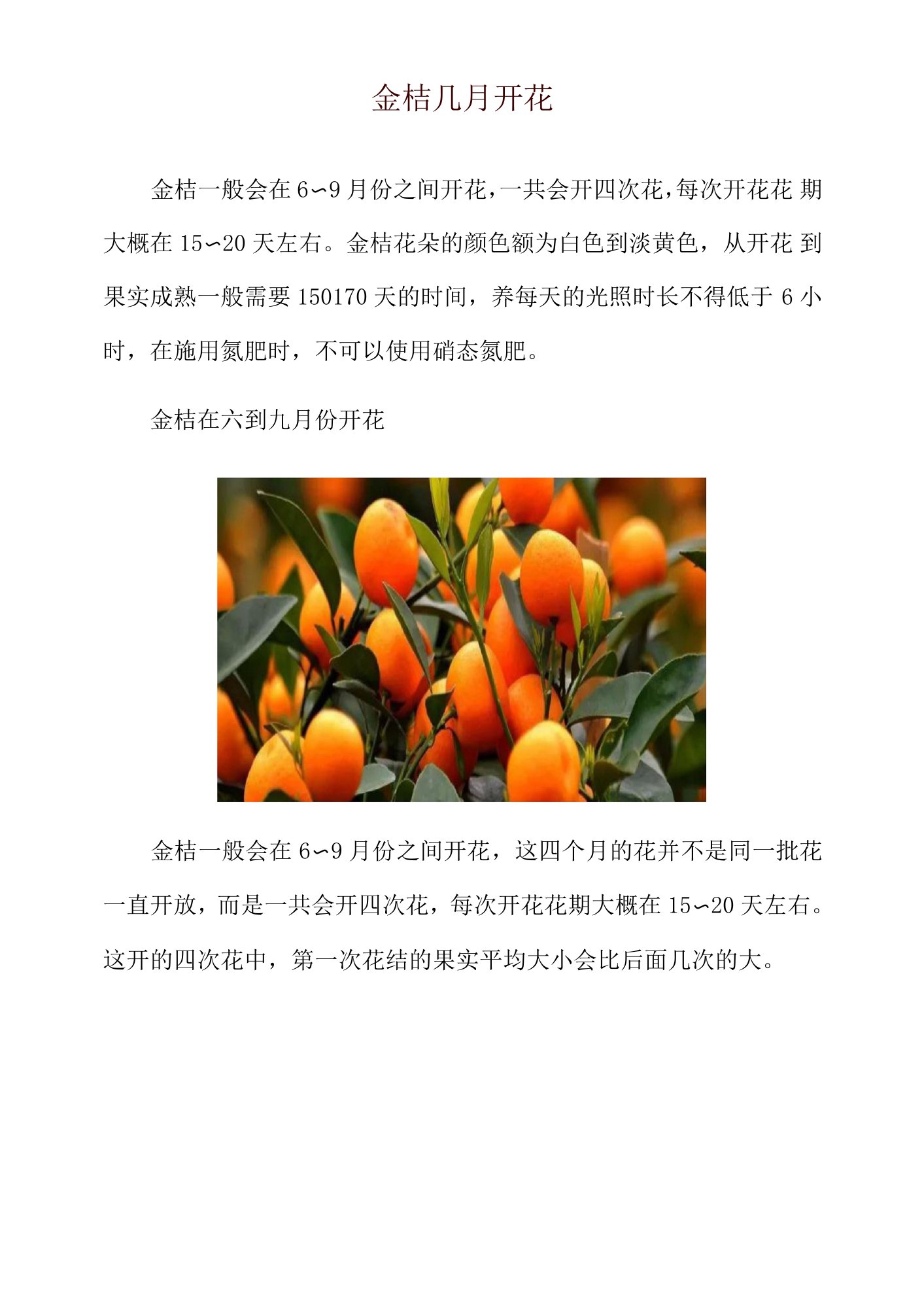 金桔几月开花