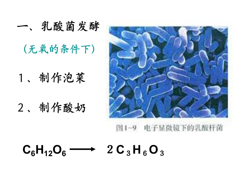 制作泡菜并检测亚硝酸盐含量ppt课件