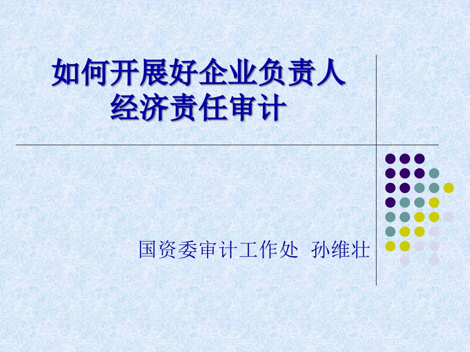 如何开展好企业负责人经济责任审计45页PPT