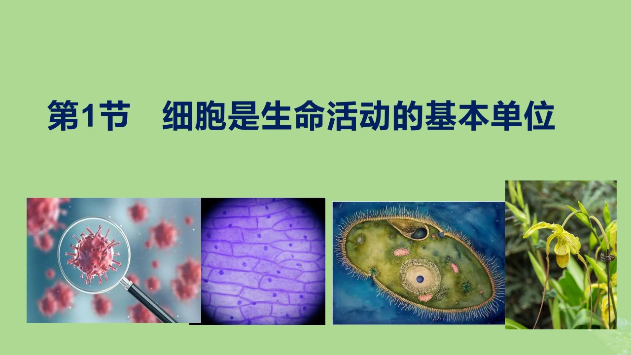 高中生物1.1细胞是生命活动的基本单位课件新人教版必修1