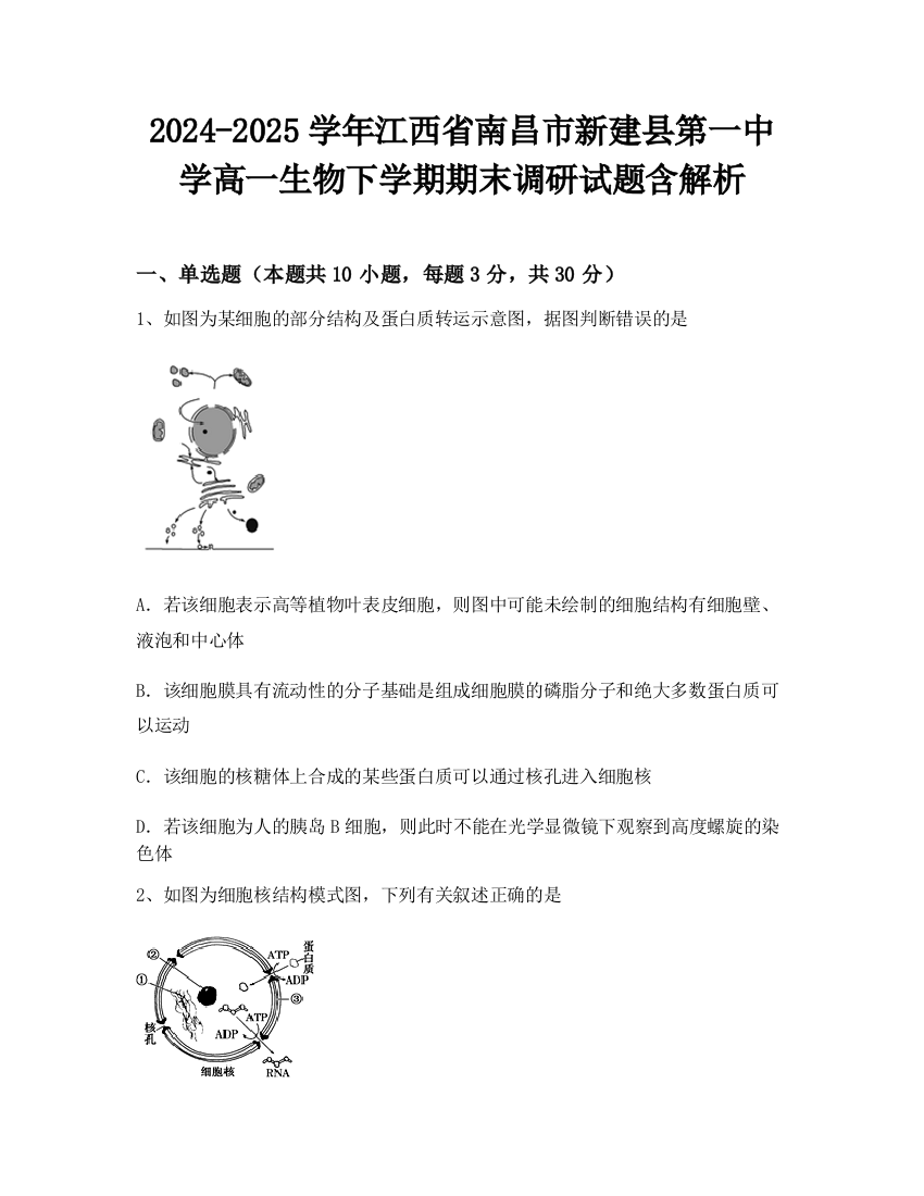 2024-2025学年江西省南昌市新建县第一中学高一生物下学期期末调研试题含解析