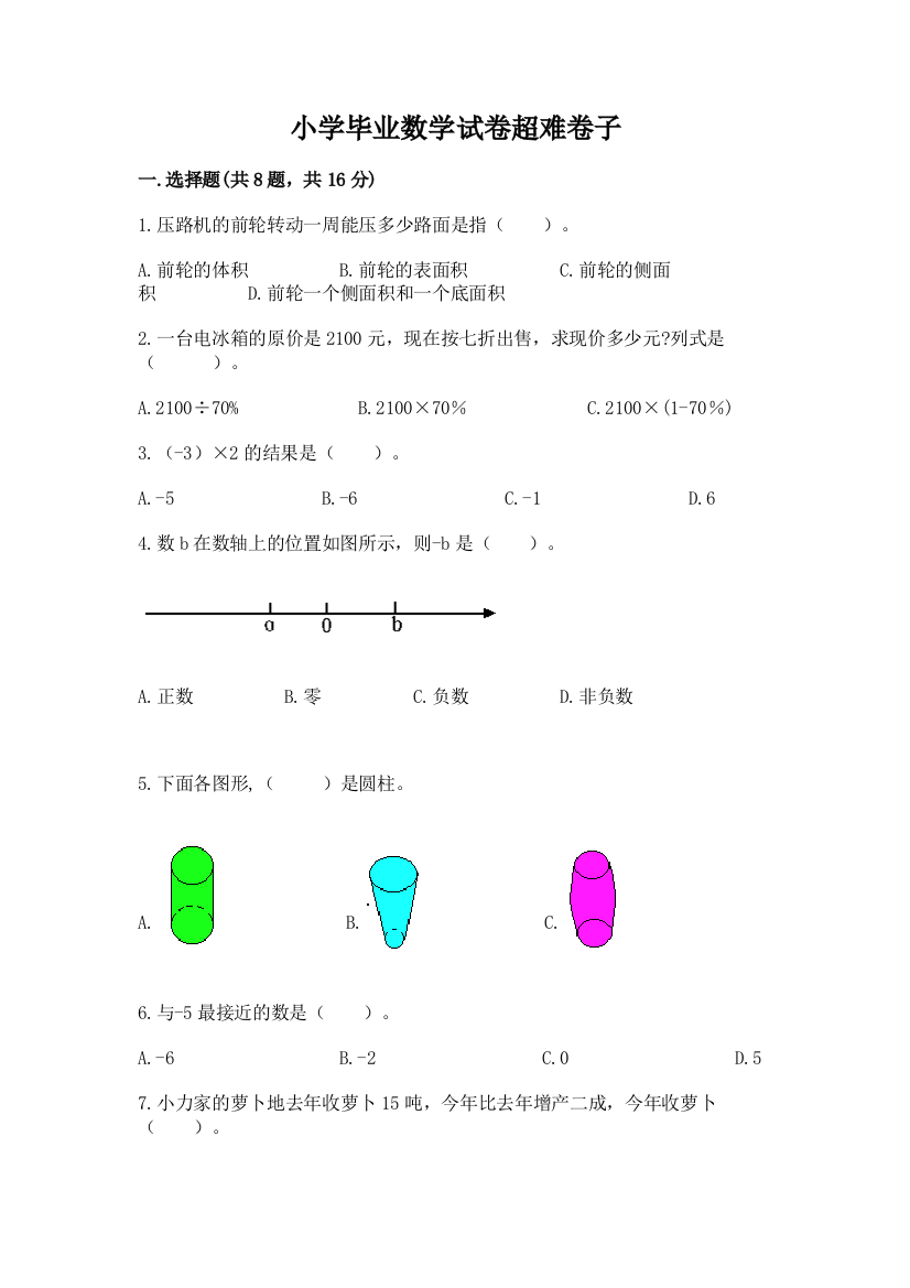 小学毕业数学试卷超难卷子（名师系列）