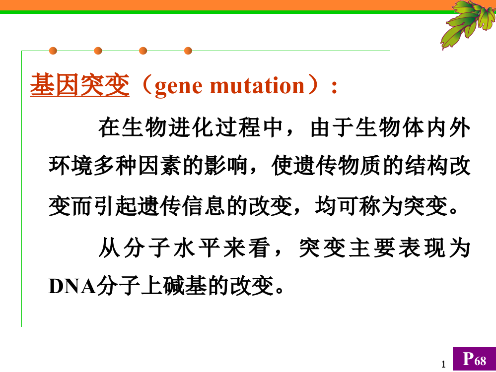 DNA损伤突变和修复ppt课件