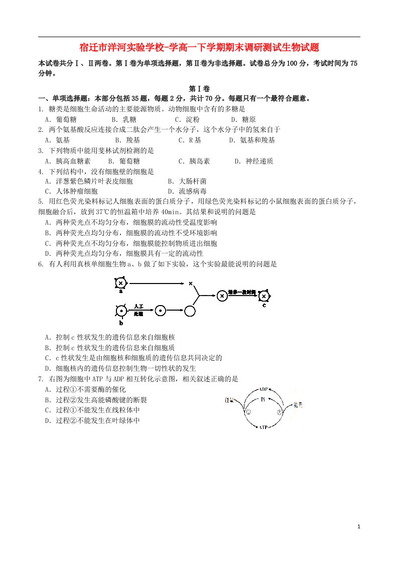 江苏省宿迁市洋河实验学校高一生物下学期期末考试题新人教版