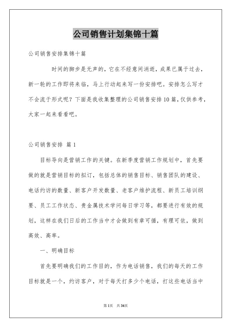 公司销售计划集锦十篇例文