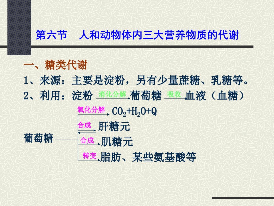 三大营养物质代谢