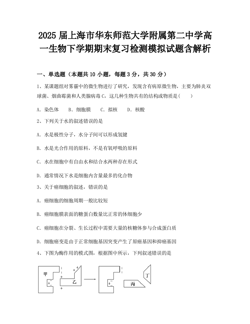 2025届上海市华东师范大学附属第二中学高一生物下学期期末复习检测模拟试题含解析