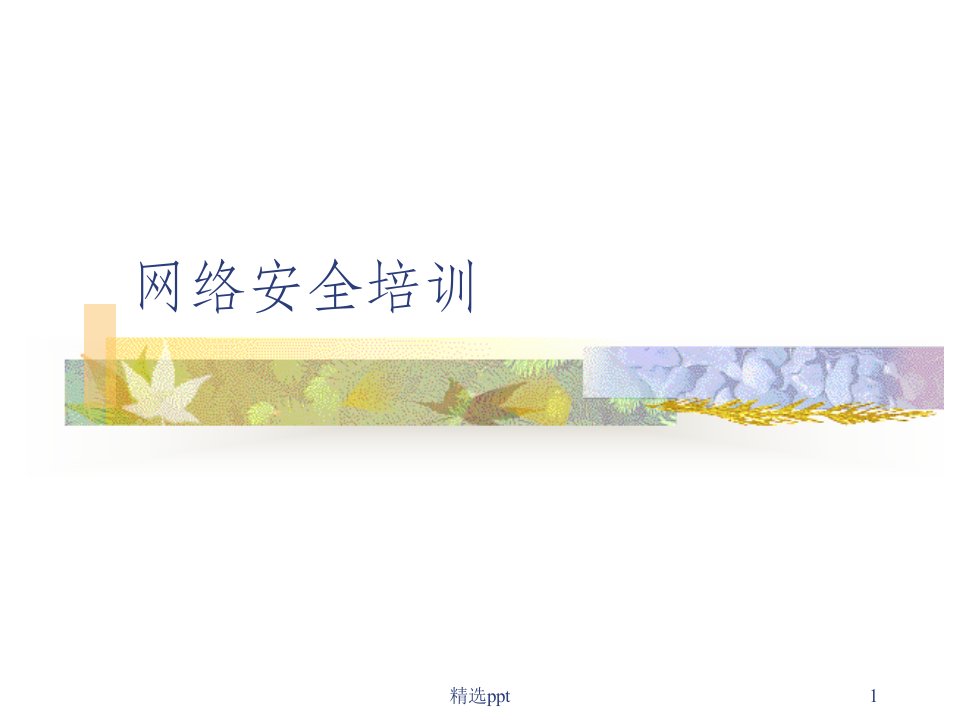 《网络安全培训》PPT课件