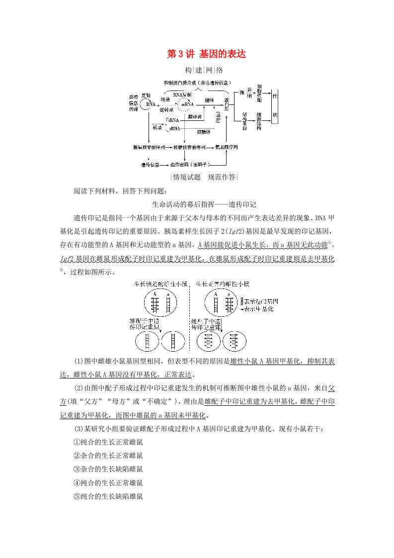 2025版高考生物一轮总复习素养提升必修2第6单元遗传的分子基础第3讲基因的表达