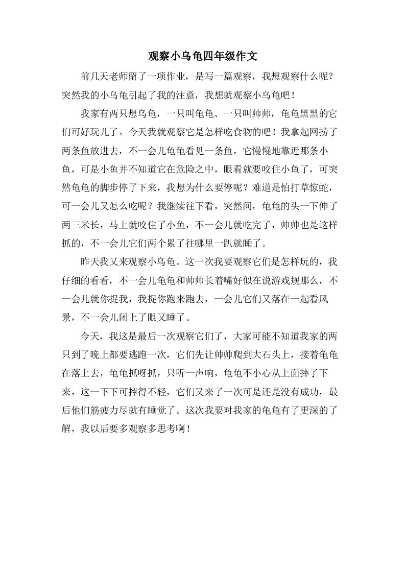 观察小乌龟四年级作文