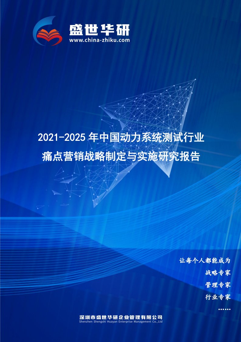 2021-2025年中国动力系统测试行业痛点营销战略制定与实施研究报告