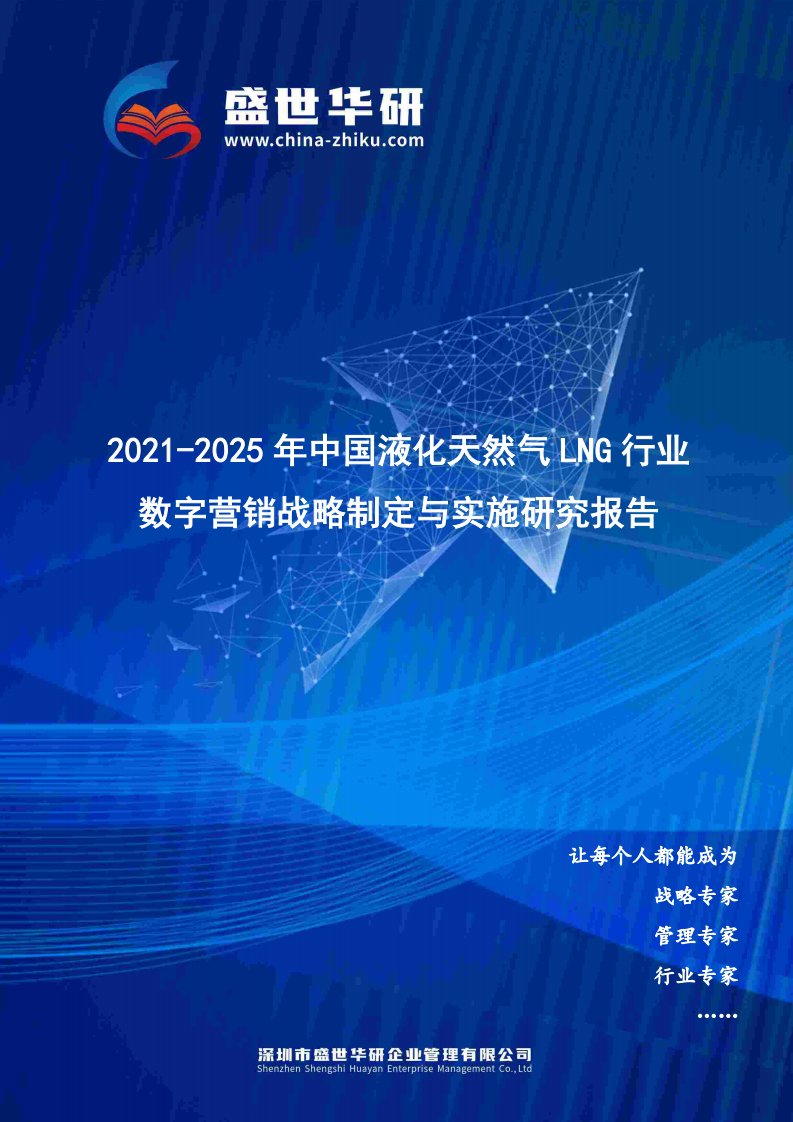 2021-2025年中国液化天然气LNG行业数字营销战略制定与实施研究报告