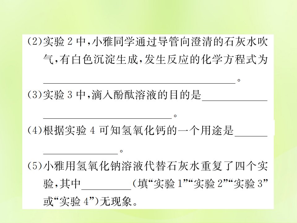 九年级化学下册酸和碱实验专题二碱的化学性质复习ppt课件新版新人教版