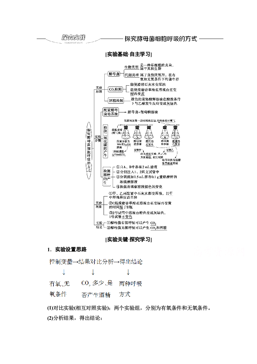 2021-2022学年新教材人教版生物必修1学案：第5章