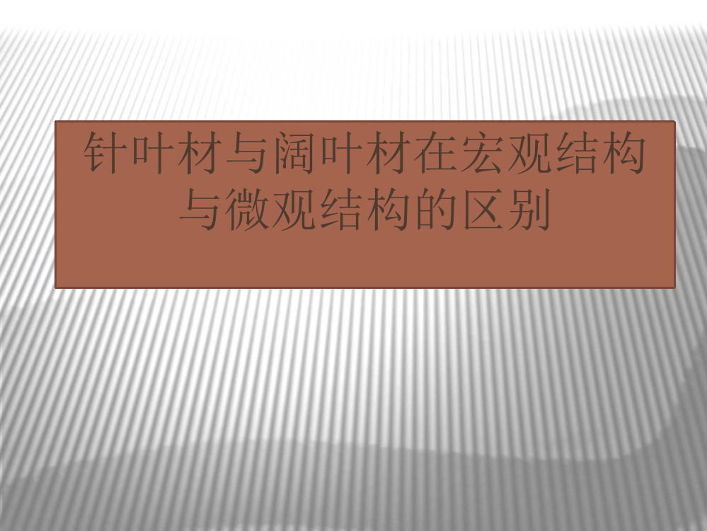 针叶材与阔叶材在宏观与微观结构的区别