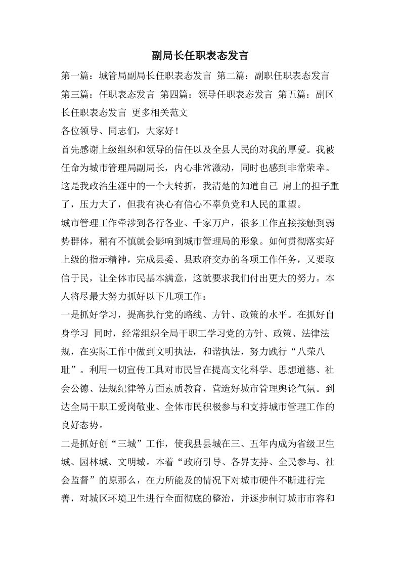 副局长任职表态发言