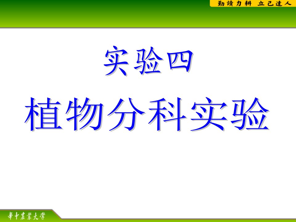 实验四被子植物分科基础