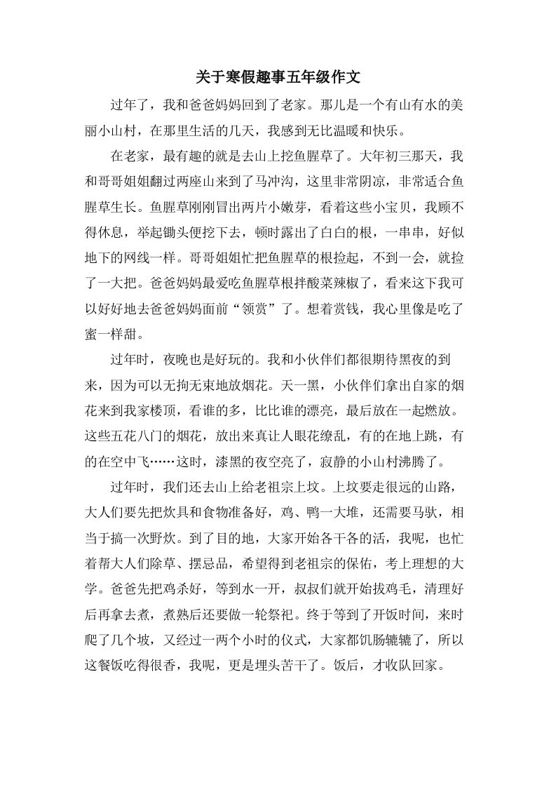 关于寒假趣事五年级作文