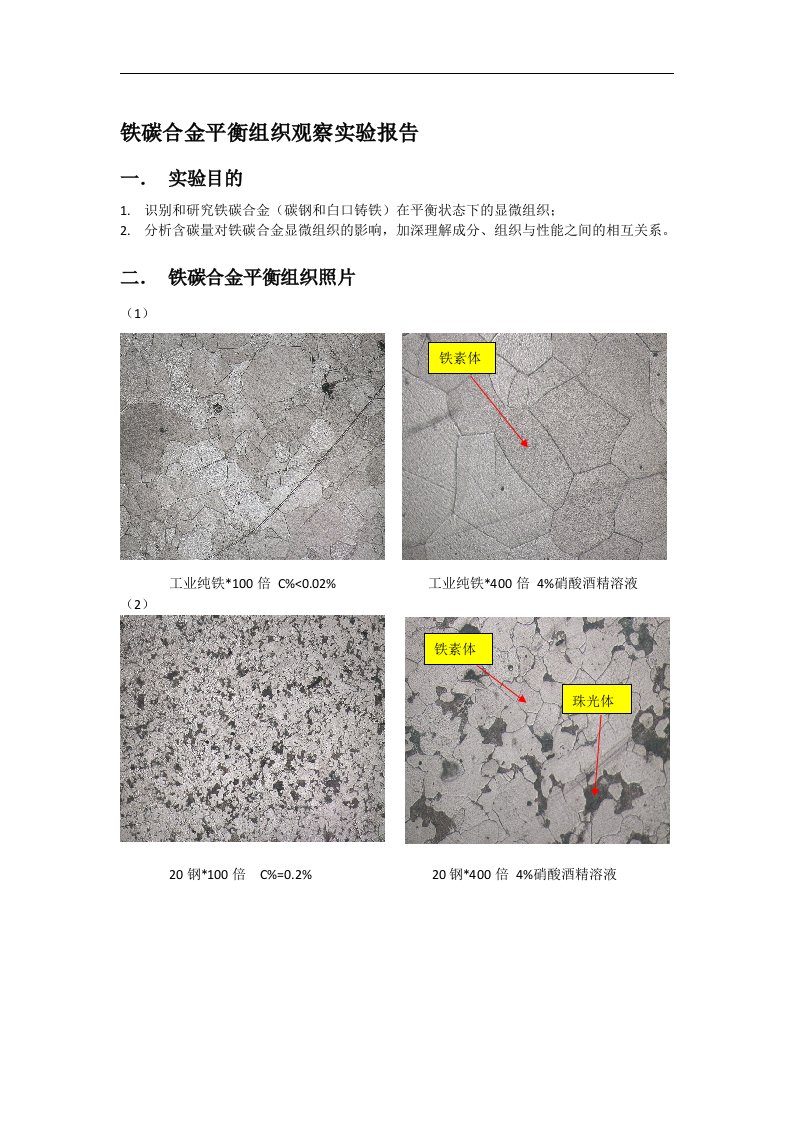 中国石油大学铁碳合金金相观察实验