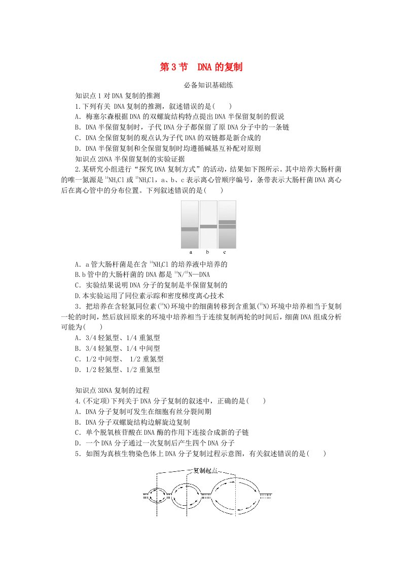 2023版新教材高中生物第3章基因的本质第3节DNA的复制课时作业新人教版必修2