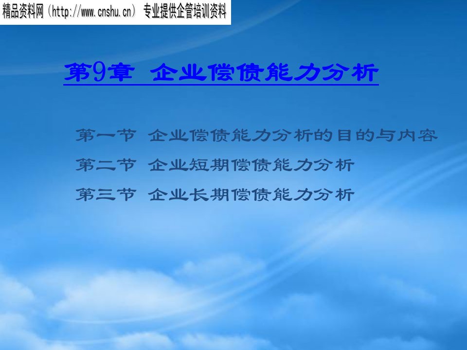 企业偿债能力分析报告