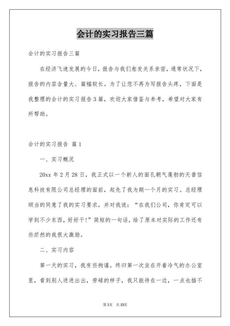 会计的实习报告三篇例文4