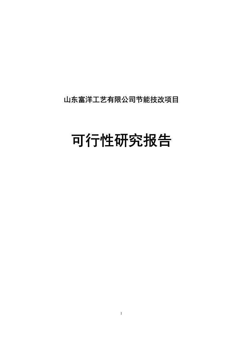 山东艺有限公司节能技改项目可行性研究报告