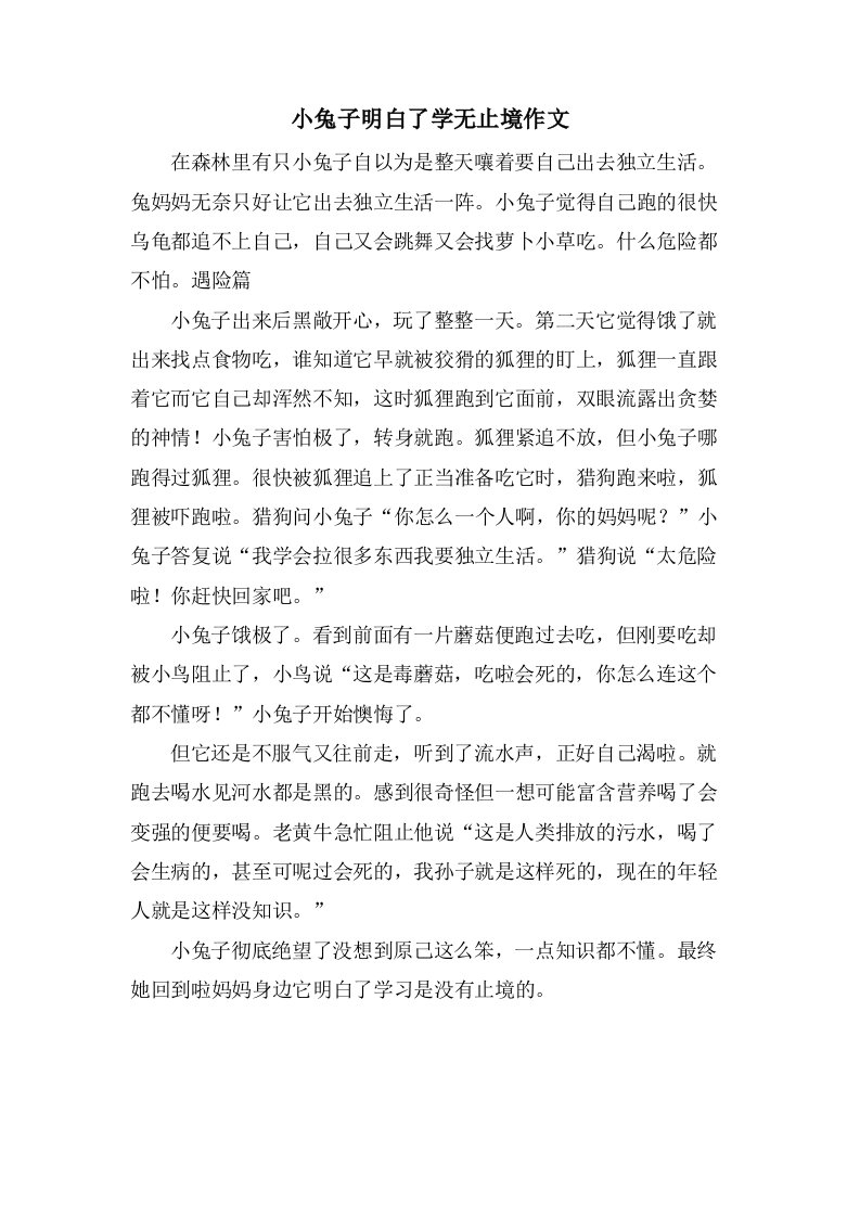 小兔子明白了学无止境作文