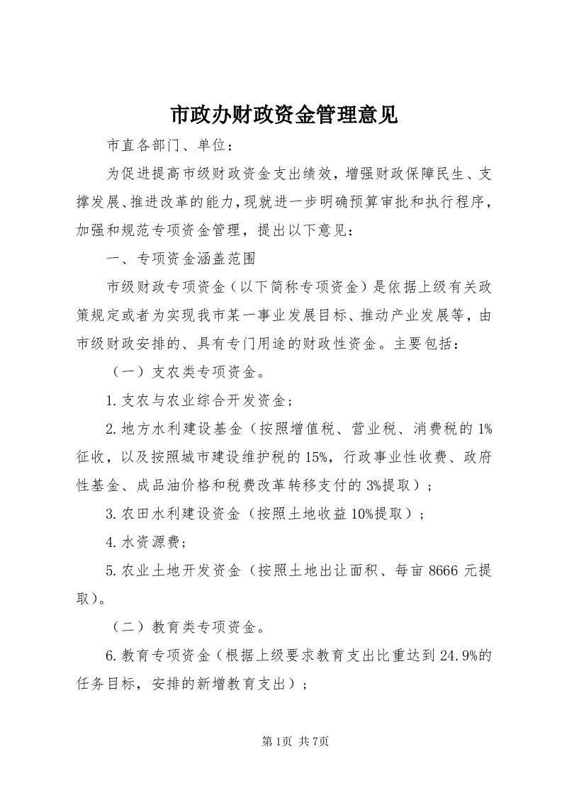 6市政办财政资金管理意见