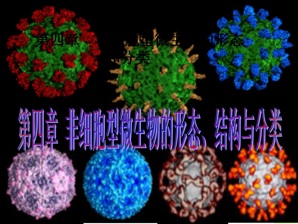 (最新)第四章非细胞型微生物的