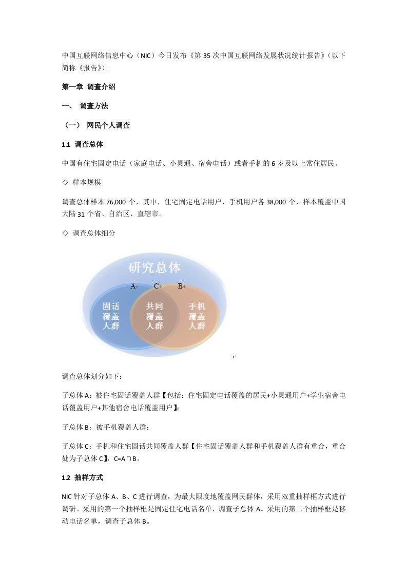 发展战略-中国互联网发展报告