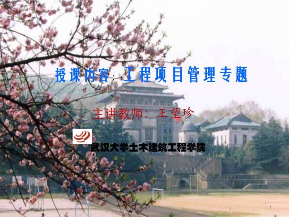 建筑工程项目管理专题图文并茂.ppt