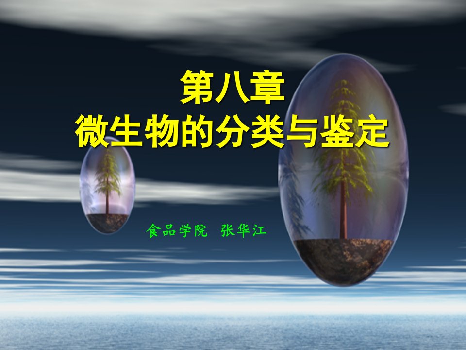 生物科技-第九章微生物分类