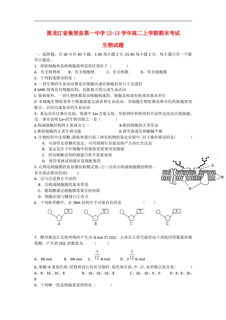 黑龙江省集贤县高二生物上学期期末考试试题新人教版