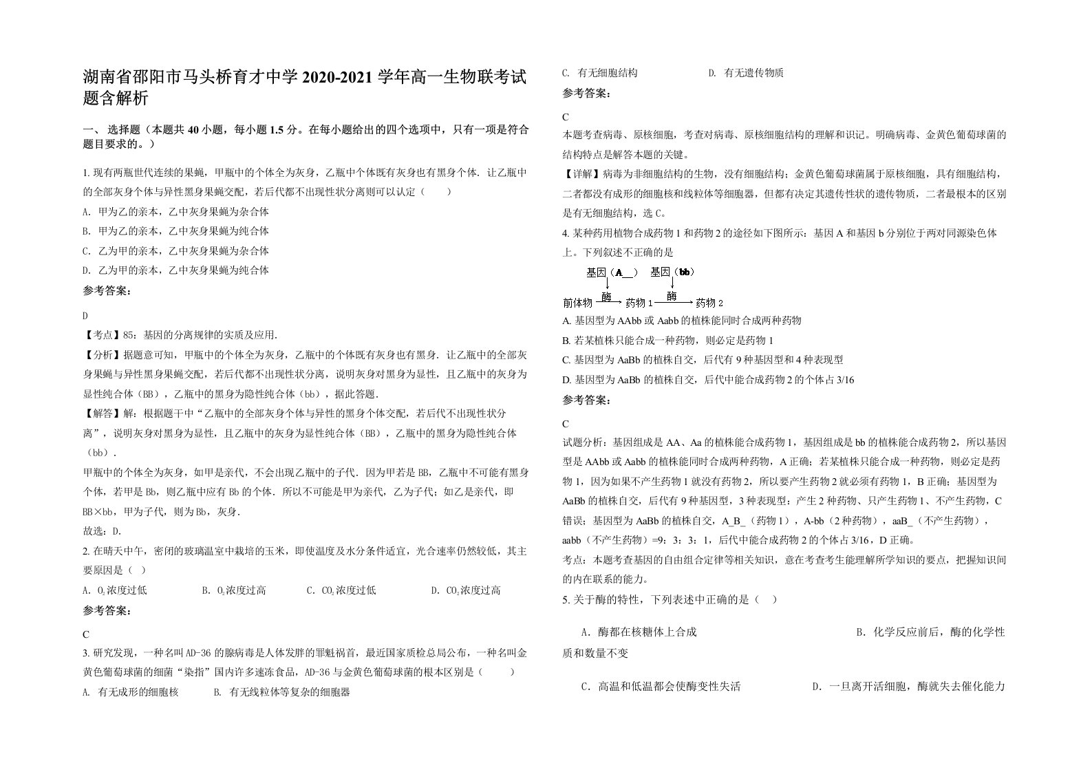 湖南省邵阳市马头桥育才中学2020-2021学年高一生物联考试题含解析