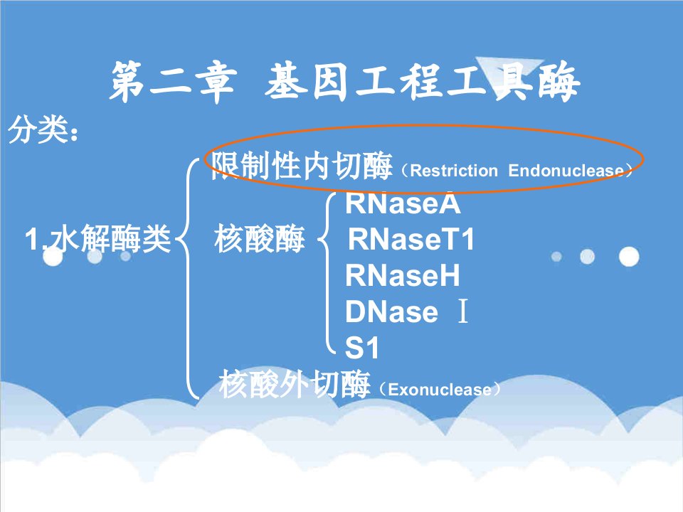 建筑工程管理-第二章基因工程工具酶