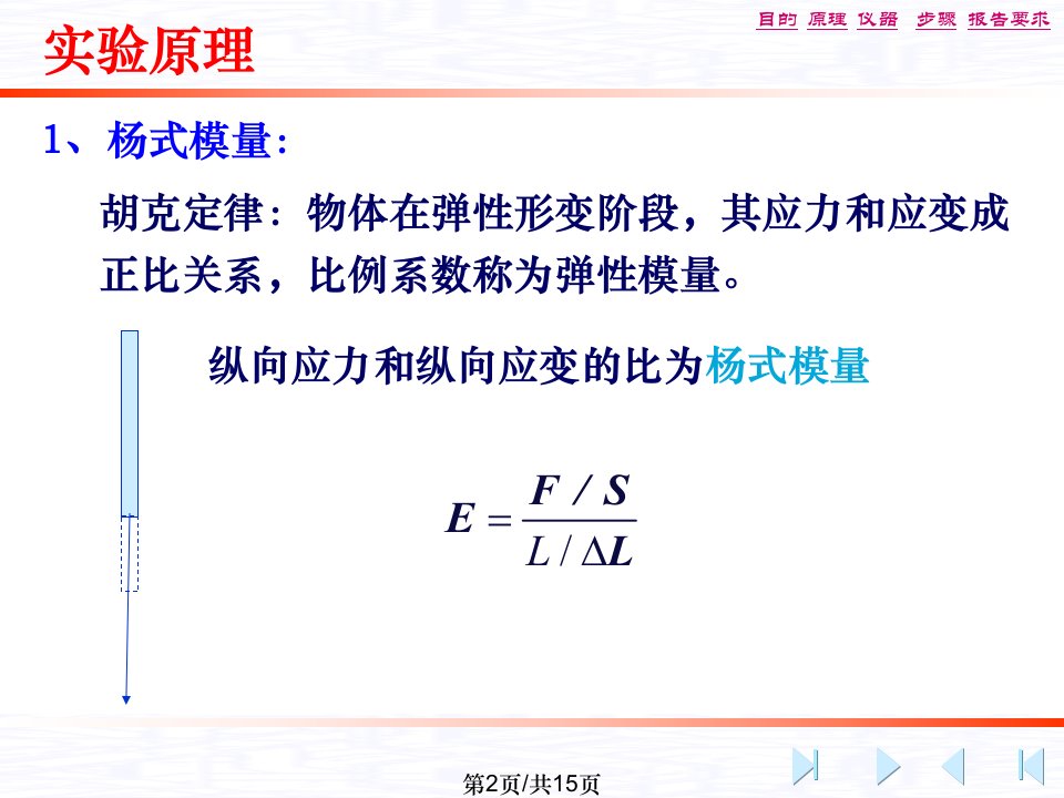 大学物理实验杨氏模量