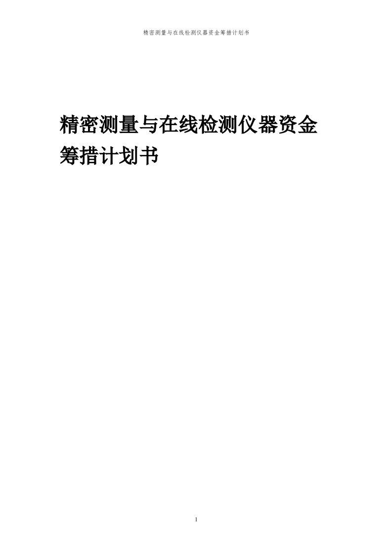 2024年精密测量与在线检测仪器资金筹措计划书代可行性研究报告