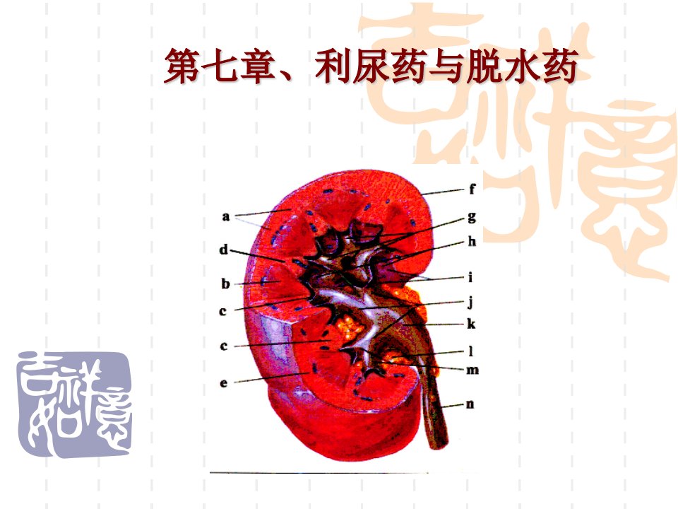 兽医药理学课件：第7章-泌尿药物