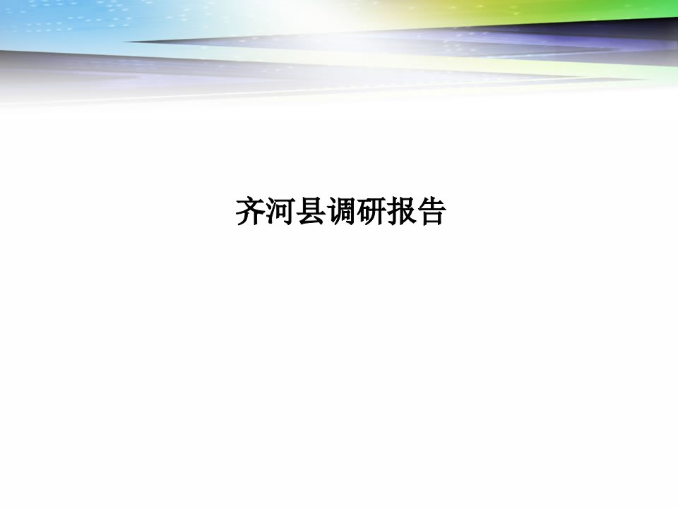 山东省齐河县经济调研报告