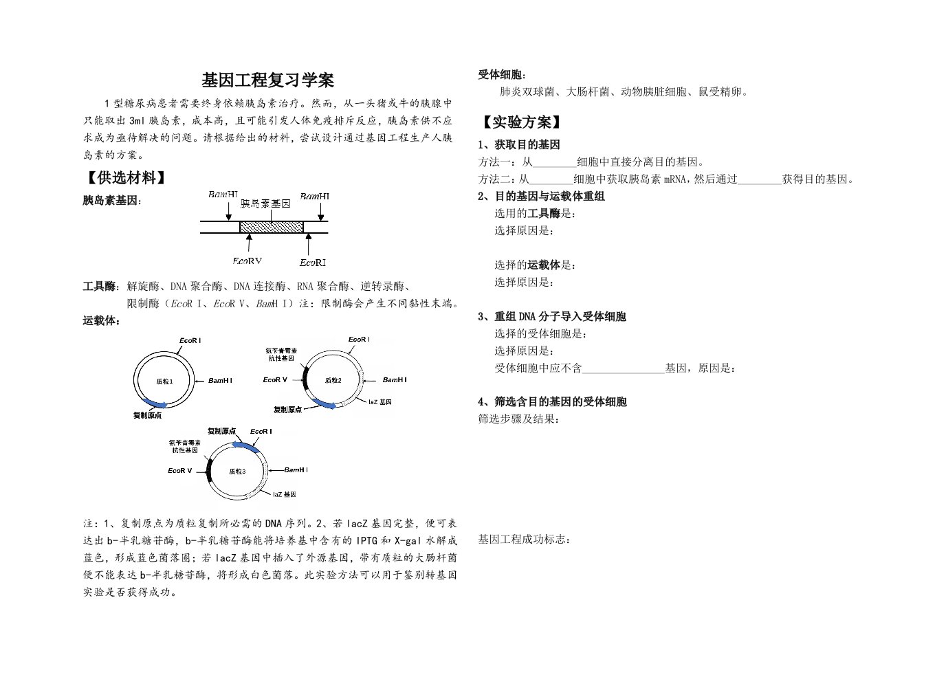 基因工程复习学案