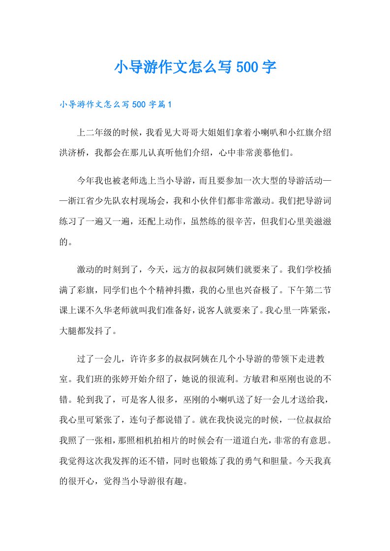 小导游作文怎么写500字