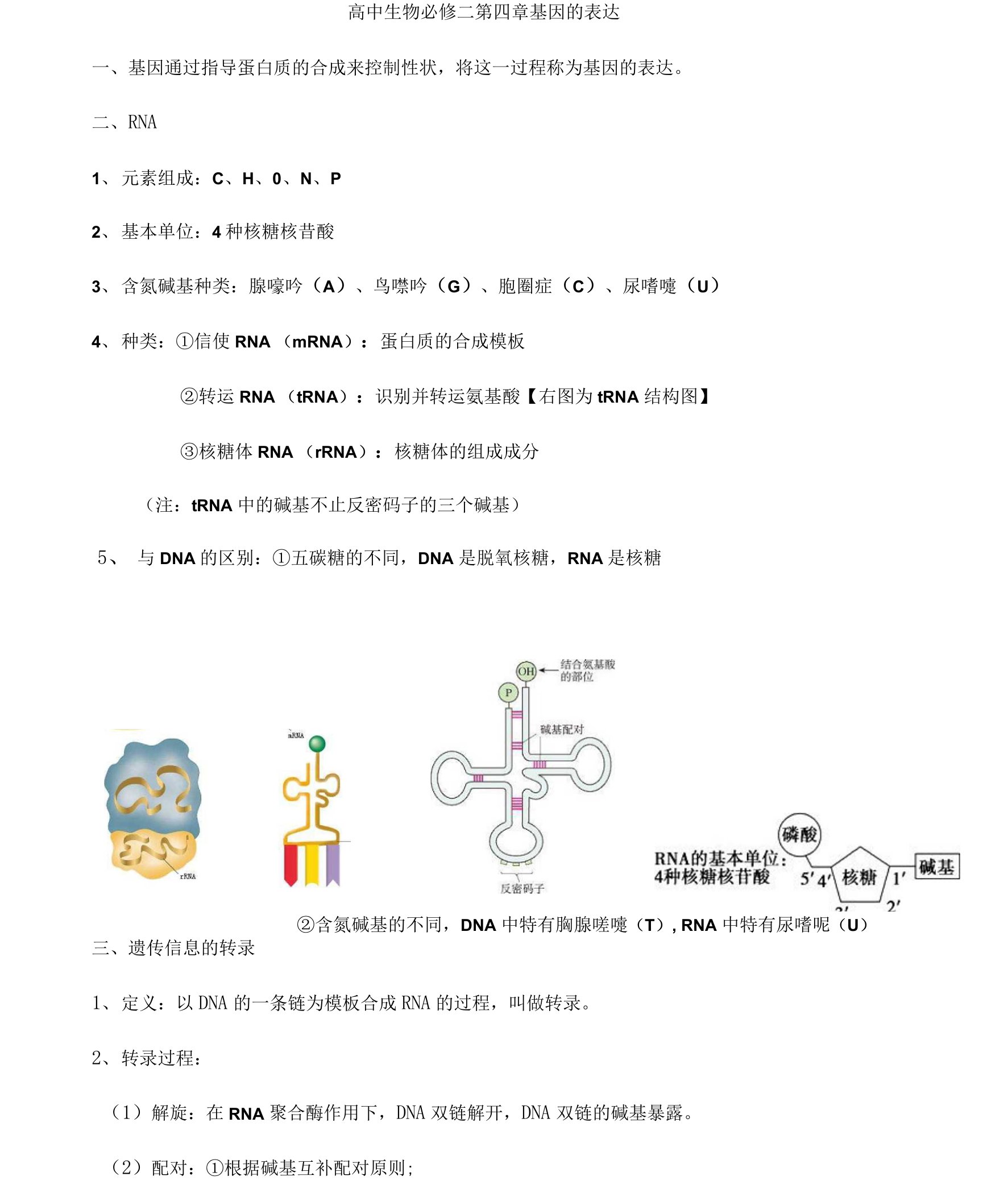 生物基因的表达知识点