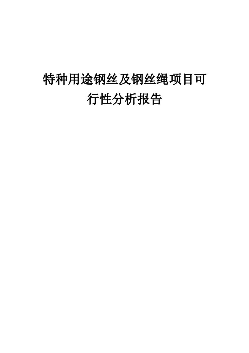 特种用途钢丝及钢丝绳项目可行性分析报告