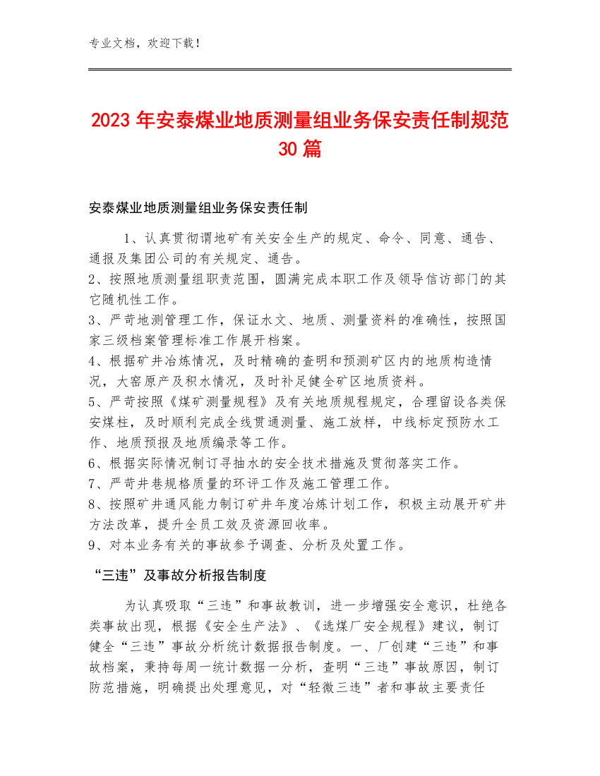 2023年安泰煤业地质测量组业务保安责任制规范30篇