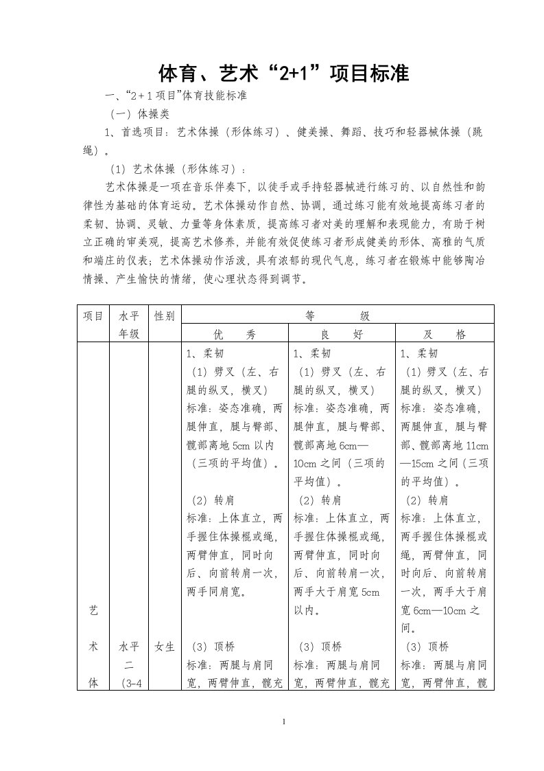 艺术&quot;2+1&quot;项目标准